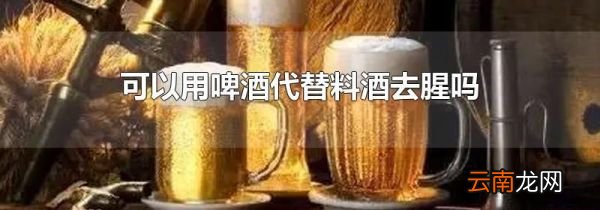 可以用啤酒代替料酒去腥吗