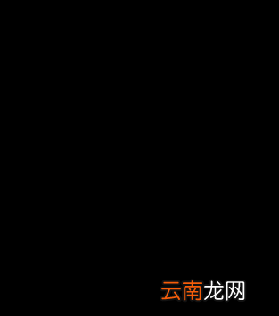 电子证照卡包怎么使用？电子证照卡包使用方法介绍