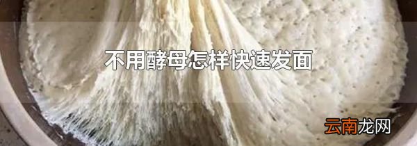 不用酵母怎样快速发面