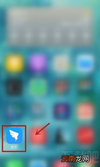 钉钉app保存视频到手机相册的方法