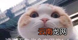 ky是什么意思?