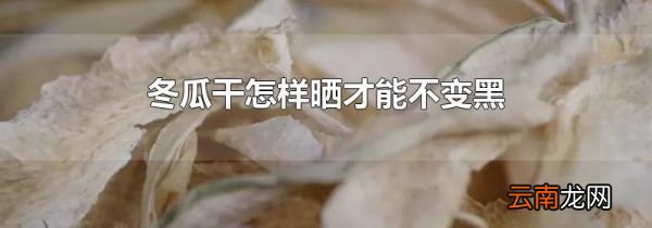 冬瓜干怎样晒才能不变黑