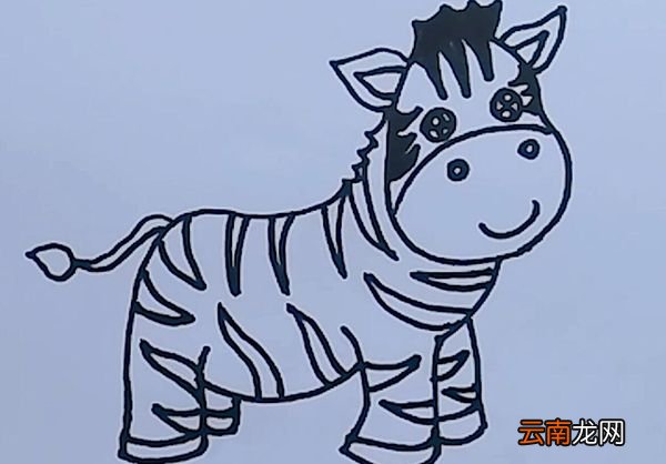 斑马简笔画