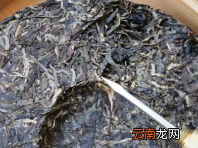 普洱茶饼怎么泡才正确方法