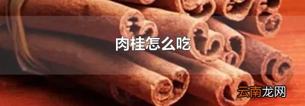肉桂怎么吃