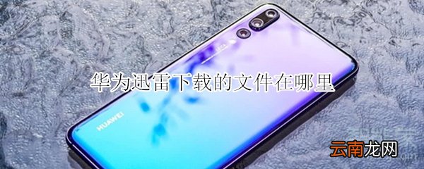 华为迅雷下载的文件在哪里