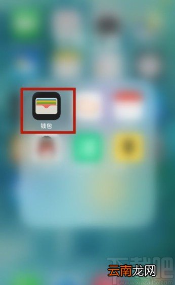 iPhone12解绑钱包银行卡的方法