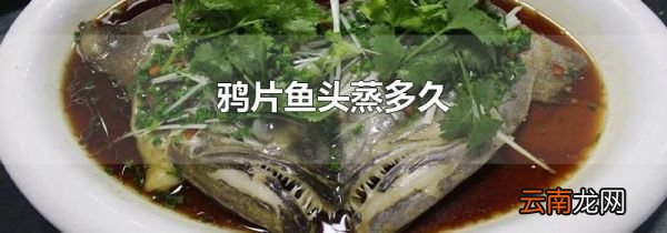 鸦片鱼头蒸多久