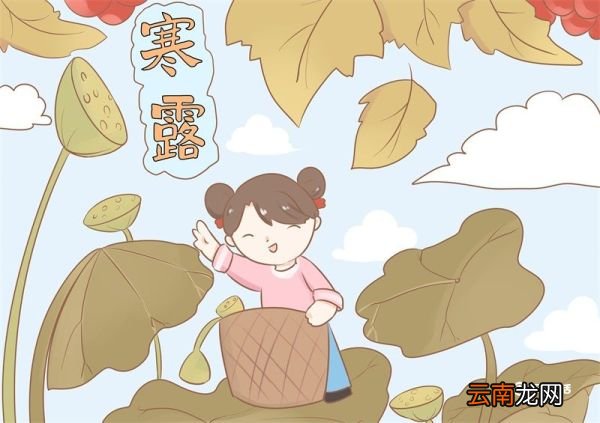 寒露儿童简笔画 寒露儿童简笔画简洁