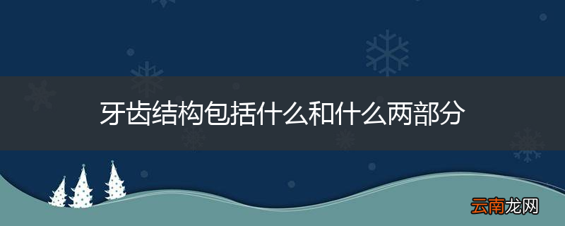牙齿结构包括什么和什么两部分