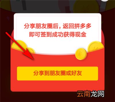 拼多多怎么每天签到