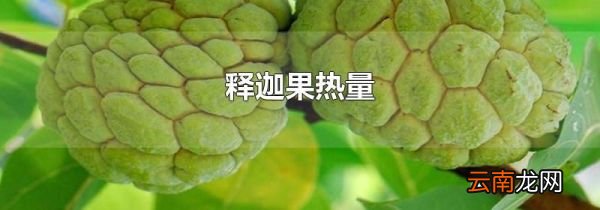 释迦果热量