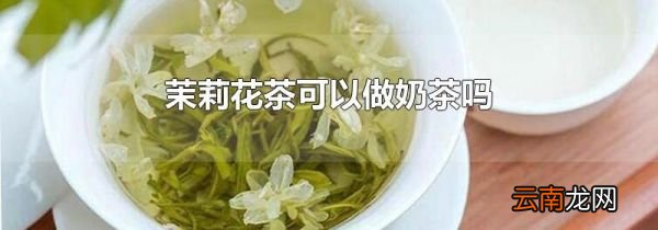 茉莉花茶可以做奶茶吗
