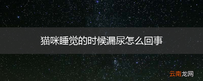 猫咪睡觉的时候漏尿怎么回事