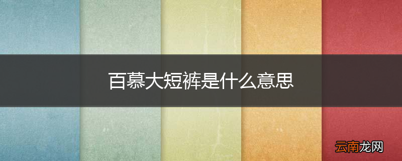 百慕大短裤是什么意思