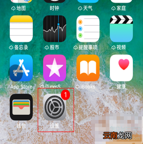 苹果手机呼叫转移怎么设置