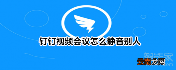 钉钉视频会议怎么静音别人