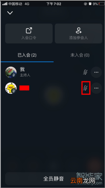 钉钉视频会议怎么静音别人