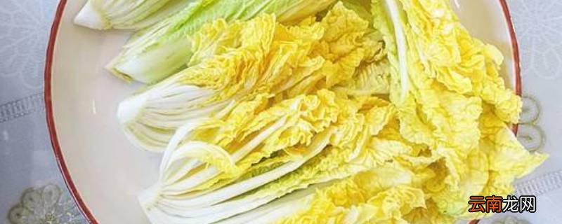 娃娃菜上的黑色斑点是什么