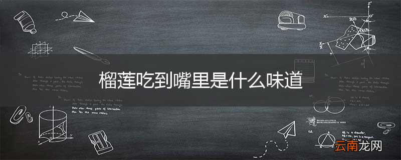榴莲吃到嘴里是什么味道