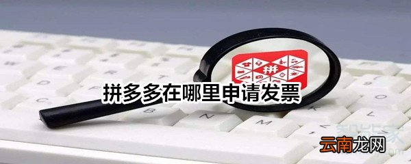 拼多多在哪里申请发票