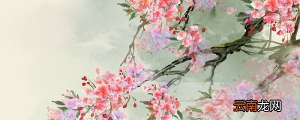 春色满园关不住一枝红杏出墙来诗意 春色满园关不住全诗
