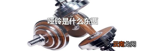 哑铃是什么东西