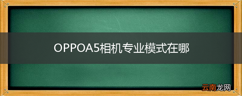 OPPOA5相机专业模式在哪