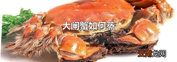 大闸蟹如何蒸