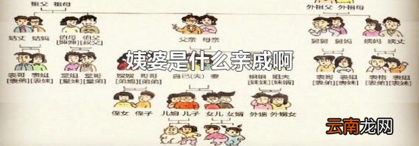 姨婆是什么亲戚啊