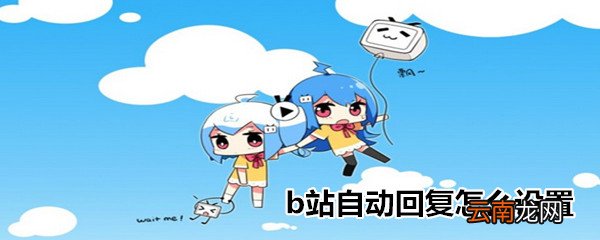 b站自动回复怎么设置