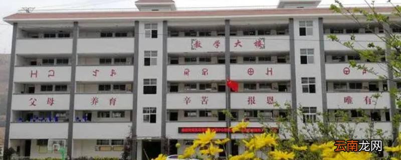 吉乐是什么