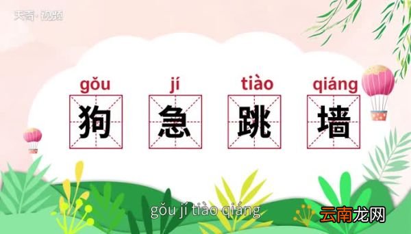 狗急跳墙的意思 狗急跳墙的出处