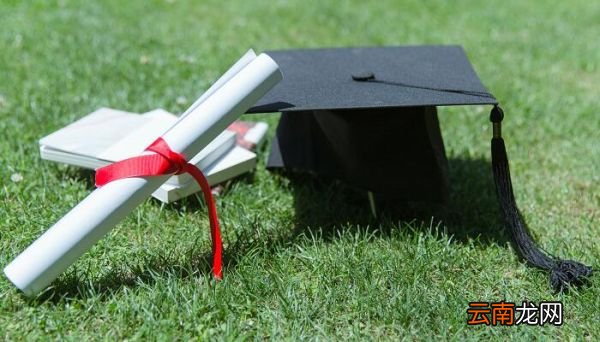 最高学历和最高学位怎么填 最高学位怎么填写