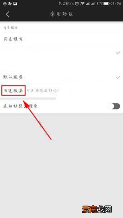 爱奇艺怎么隐藏无用的服务？隐藏无用的服务的方法介绍