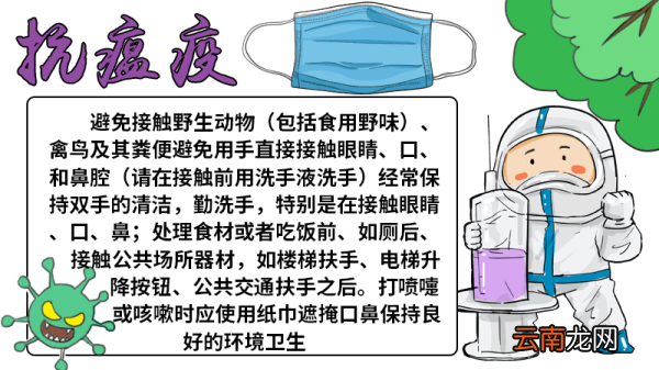 瘟疫手抄报 瘟疫手抄报内容