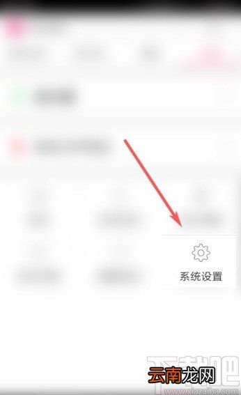 多米音乐app开启线控功能的方法步骤