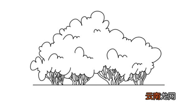 灌木简笔画灌木简笔画怎么画