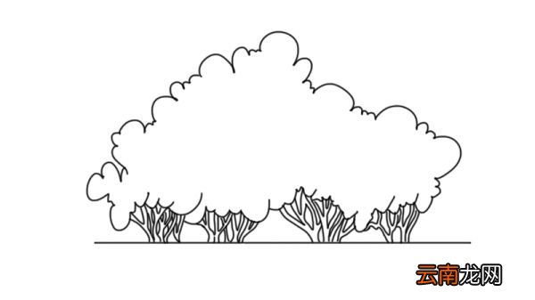 灌木简笔画灌木简笔画怎么画