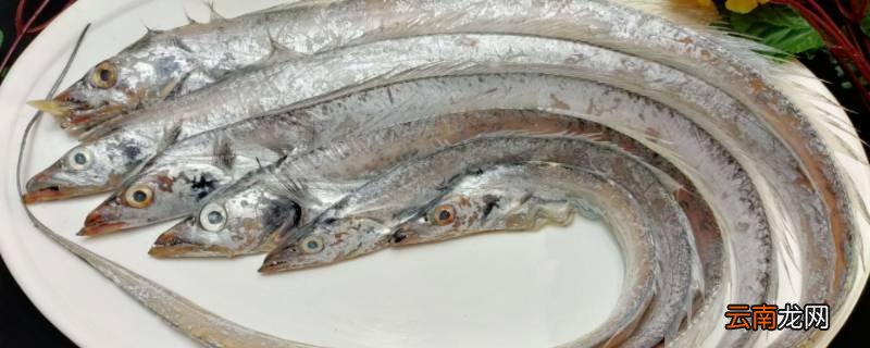 带鱼10-12规格是什么意思