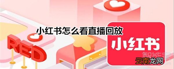 小红书怎么看直播回放