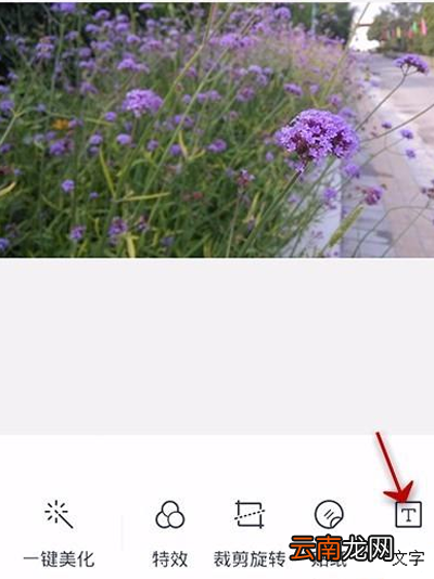 天天p图怎么给照片添加文字？给照片添加文字方法介绍