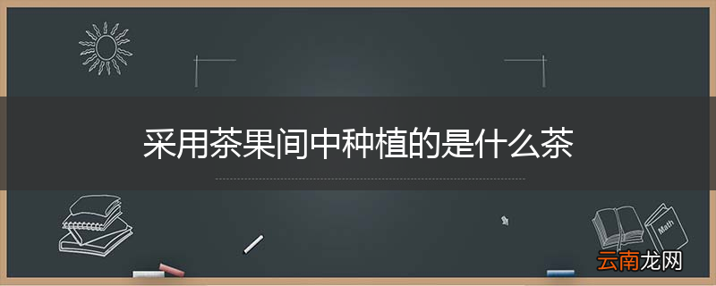 采用茶果间中种植的是什么茶