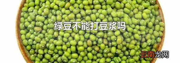 绿豆不能打豆浆吗