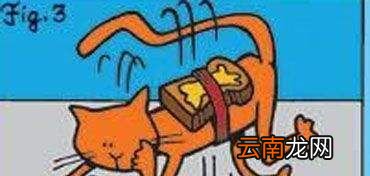 黄油猫悖论是什么东西？
