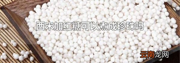 西米加红糖可以煮成珍珠吗