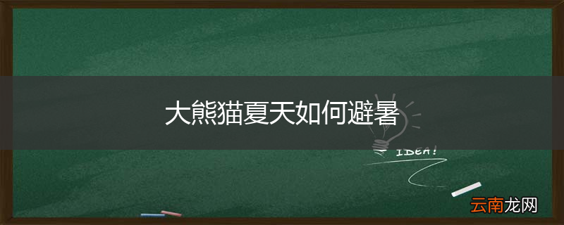 大熊猫夏天如何避暑