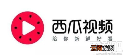 西瓜视频app设置定时关闭的方法