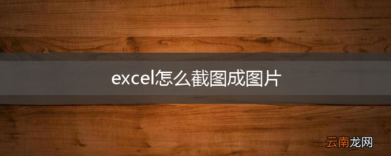 excel怎么截图成图片
