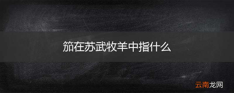 笳在苏武牧羊中指什么